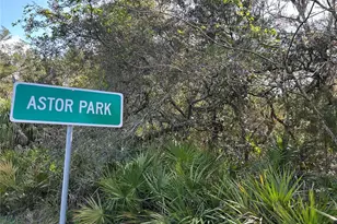 County Road 445A, Astor, FL 32102 - Photo 1