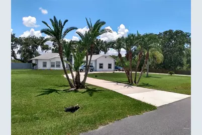 3140 Rosemarie Drive, Kissimmee, FL 34746 - Photo 1