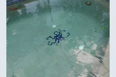 3140 Rosemarie Drive, Kissimmee, FL 34746 - Photo 19