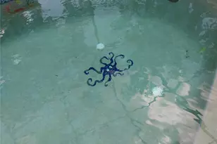 3140 Rosemarie Dr, Kissimmee, FL 34746 - Photo 19