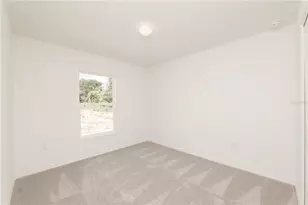 1165 Bishop St, Avon Park, FL 33825 - Photo 5