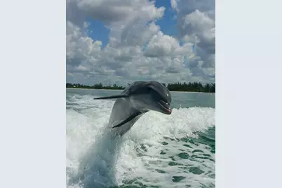 1761 Auburn Lakes Drive #11, Venice, FL 34292 - Photo 71