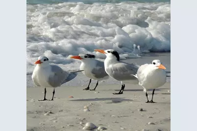 1761 Auburn Lakes Drive #11, Venice, FL 34292 - Photo 69