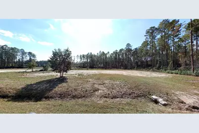 Joyce Street, Hastings, FL 32145 - Photo 1