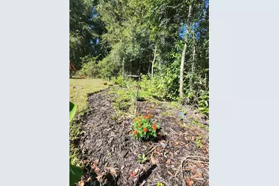 7910 NW 141st Street, Trenton, FL 32693 - Photo 77