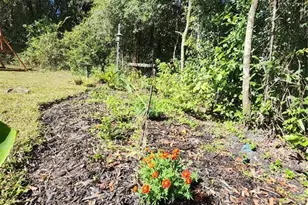 7910 NW 141st St, Trenton, FL 32693 - Photo 77