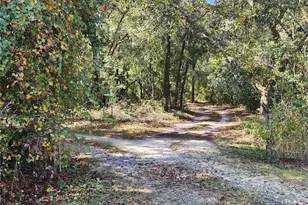 7910 NW 141st St, Trenton, FL 32693 - Photo 15