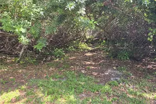 3853 Stratfield Dr, New Port Richey, FL 34652 - Photo 23