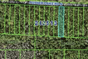Poyner Oaks Road N, Polk City, FL 33868 - Photo 1