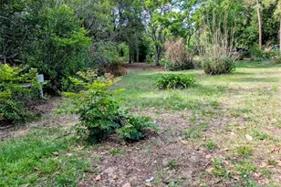 35819 Nova Ln, Eustis, FL 32736 - Photo 19