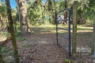 7351 NW 170th St, Trenton, FL 32693 - Photo 15