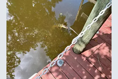 25646 Bass Road, Astor, FL 32102 - Photo 11