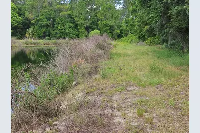 Burnsed Road, Pierson, FL 32180 - Photo 3