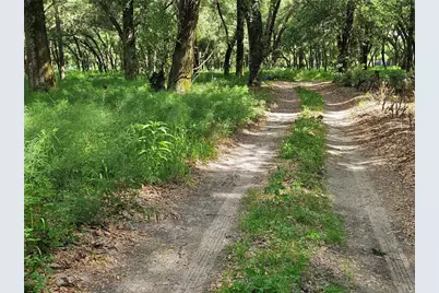 Burnsed Road, Pierson, FL 32180 - Photo 7