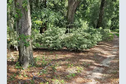 Burnsed Road, Pierson, FL 32180 - Photo 9