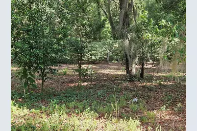Burnsed Road, Pierson, FL 32180 - Photo 11