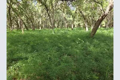 Burnsed Road, Pierson, FL 32180 - Photo 3