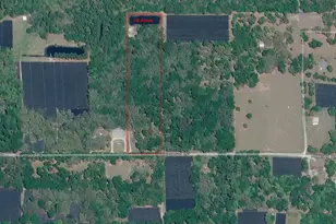 Burnsed Rd, Pierson, FL 32180 - Photo 1