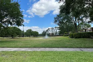 2002 Fishtail Fern Way, Ocoee, FL 34761 - Photo 37