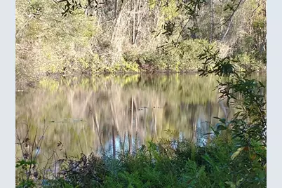 0000 Eagle Boulevard, Land O Lakes, FL 34639 - Photo 19