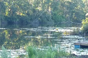 0000 Eagle Blvd, Land O Lakes, FL 34639 - Photo 1