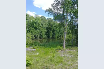 0000 Eagle Boulevard, Land O Lakes, FL 34639 - Photo 3