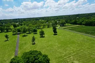 Tbd SE 115th St, Belleview, FL 34420 - Photo 1