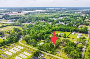 219 S Webb Rd, Plant City, FL 33566 - Photo 35
