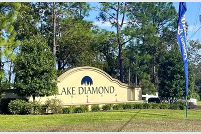 39 Hickory Course Way, Ocala, FL 34472 - Photo 29
