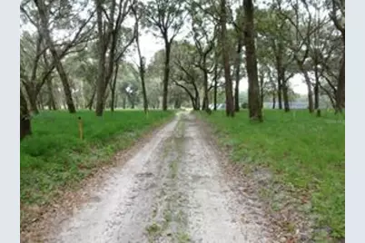 610 Burnsed Road, Pierson, FL 32180 - Photo 5