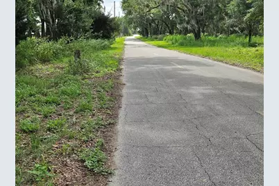 610 Burnsed Road, Pierson, FL 32180 - Photo 13