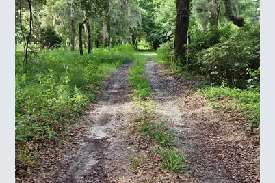 610 Burnsed Road, Pierson, FL 32180 - Photo 11