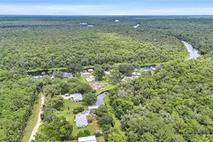 22308 Blue Creek Lodge Rd, Astor, FL 32102 - Photo 3