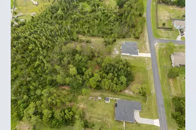 8017 Woodleaf Boulevard, Wesley Chapel, FL 33544 - Photo 3