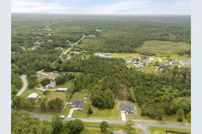 8017 Woodleaf Boulevard, Wesley Chapel, FL 33544 - Photo 1