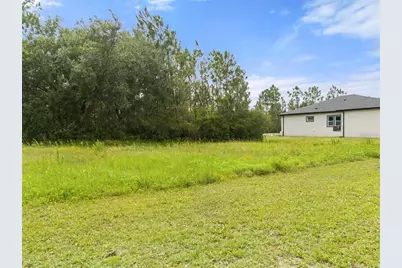 8017 Woodleaf Boulevard, Wesley Chapel, FL 33544 - Photo 5
