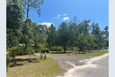 203 SE 45 Avenue, Cross City, FL 32628 - Photo 3