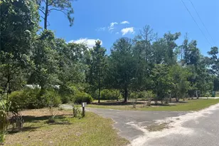 203 SE 45th Ave, Cross City, FL 32628 - Photo 3