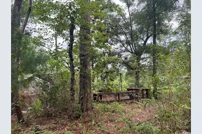 203 SE 45 Avenue, Cross City, FL 32628 - Photo 21