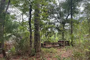 203 SE 45th Ave, Cross City, FL 32628 - Photo 21