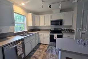 55515 Lisa St, Astor, FL 32102 - Photo 9