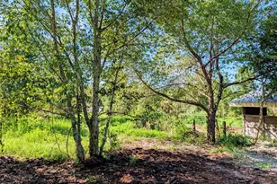 21320 Seneca Hills Rd, Eustis, FL 32736 - Photo 3