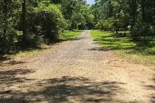 6794 Sturmer Pl, Tallahassee, FL 32311 - Photo 3