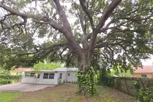 1222 Eldridge St, Clearwater, FL 33755 - Photo 35