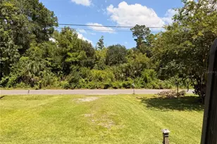 55643 Lisa St, Astor, FL 32102 - Photo 43