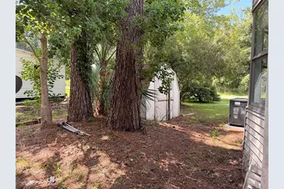 55643 Lisa Street, Astor, FL 32102 - Photo 47
