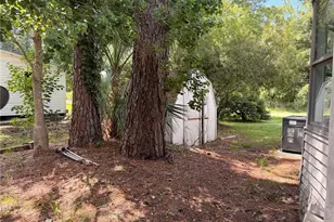 55643 Lisa St, Astor, FL 32102 - Photo 47