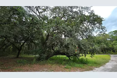 12590 NW 82nd Court, Chiefland, FL 32626 - Photo 9