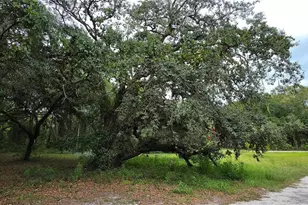 12590 NW 82 Ct, Chiefland, FL 32626 - Photo 9