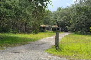 12590 NW 82 Ct, Chiefland, FL 32626 - Photo 5